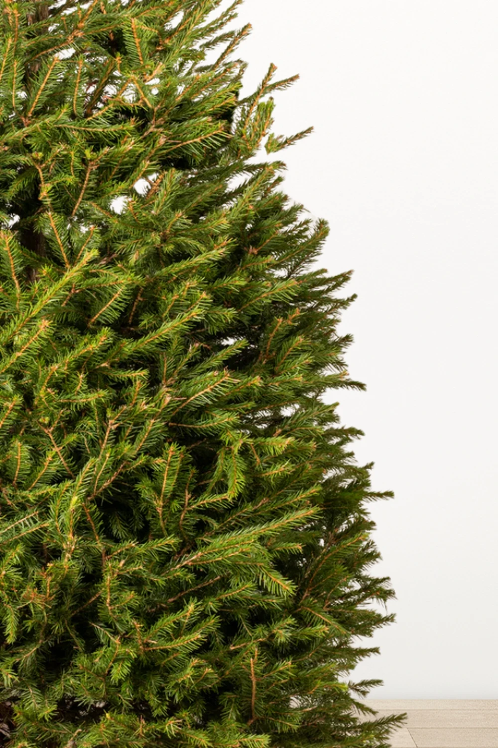 Ялина &quot;Європейська&quot; VIP